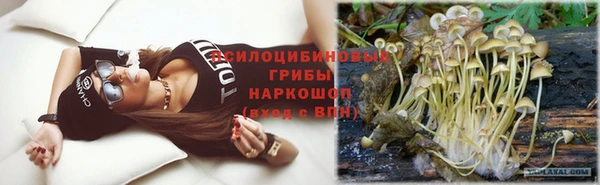 прущий лед Касимов