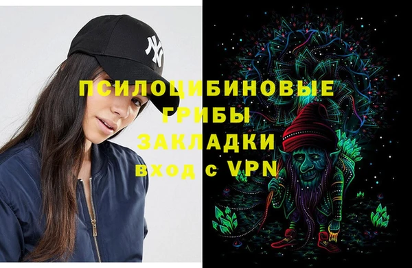 соль ск Киреевск