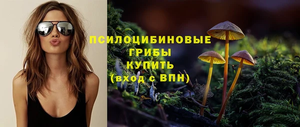 бутират Козловка