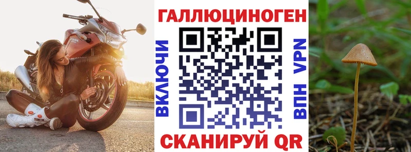 blacksprut как войти  где найти   Костерёво  Псилоцибиновые грибы MAGIC MUSHROOMS 